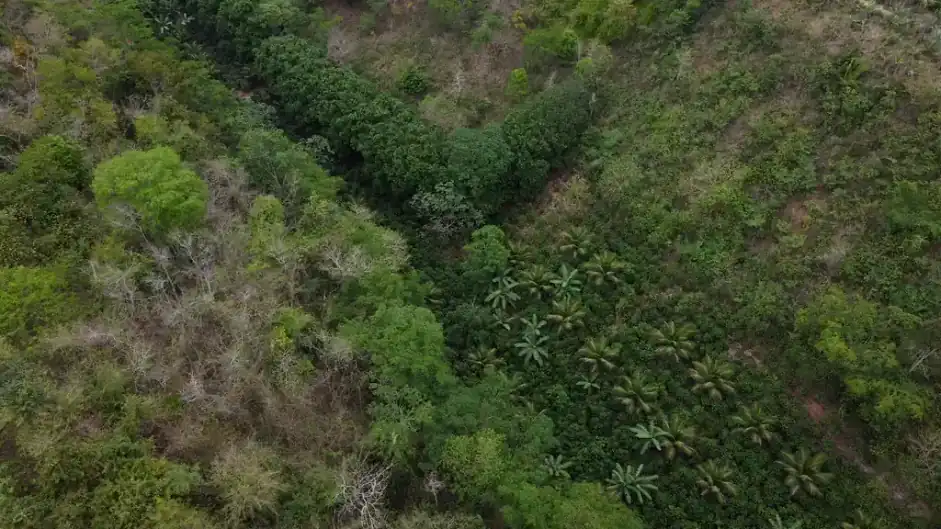 Lavoura em propriedade rural no Brasil, cédula de produto rural CPR